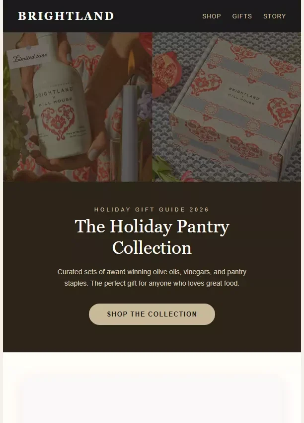 Brightland holiday newsletter template preview