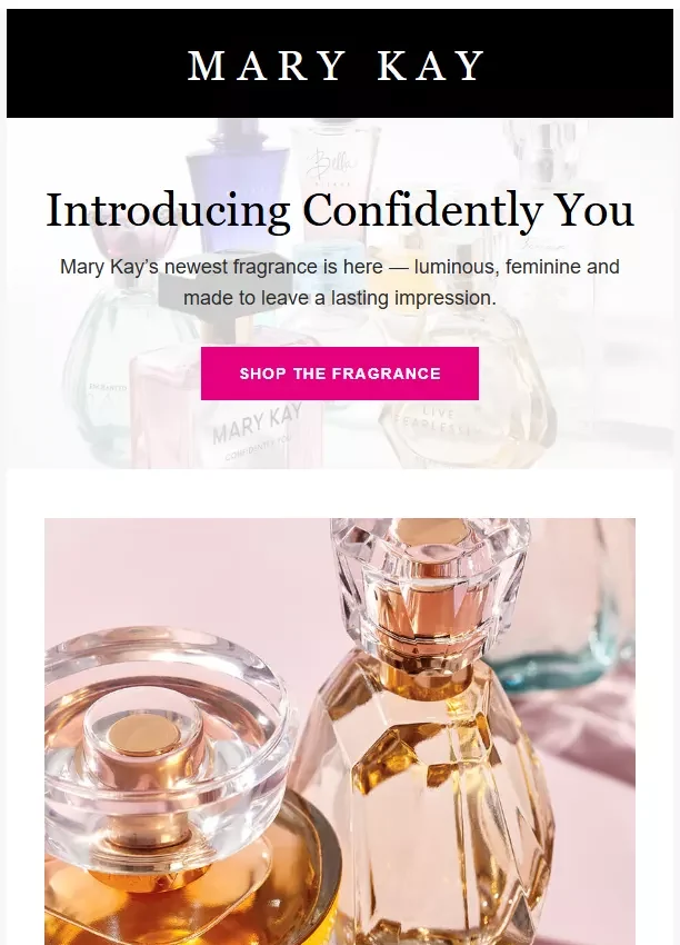 Mary Kay newsletter template preview